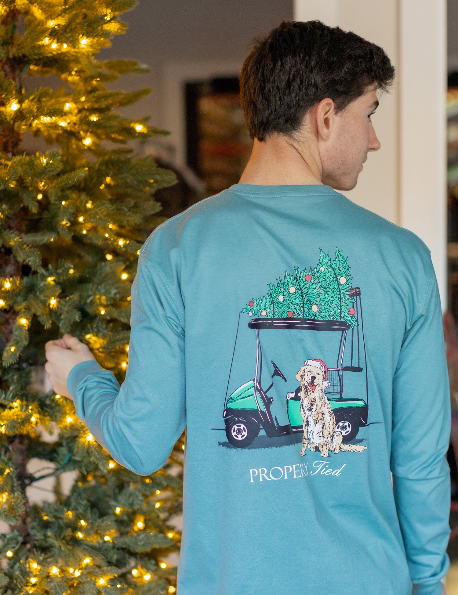 Santa's Caddy LS Steel Blue