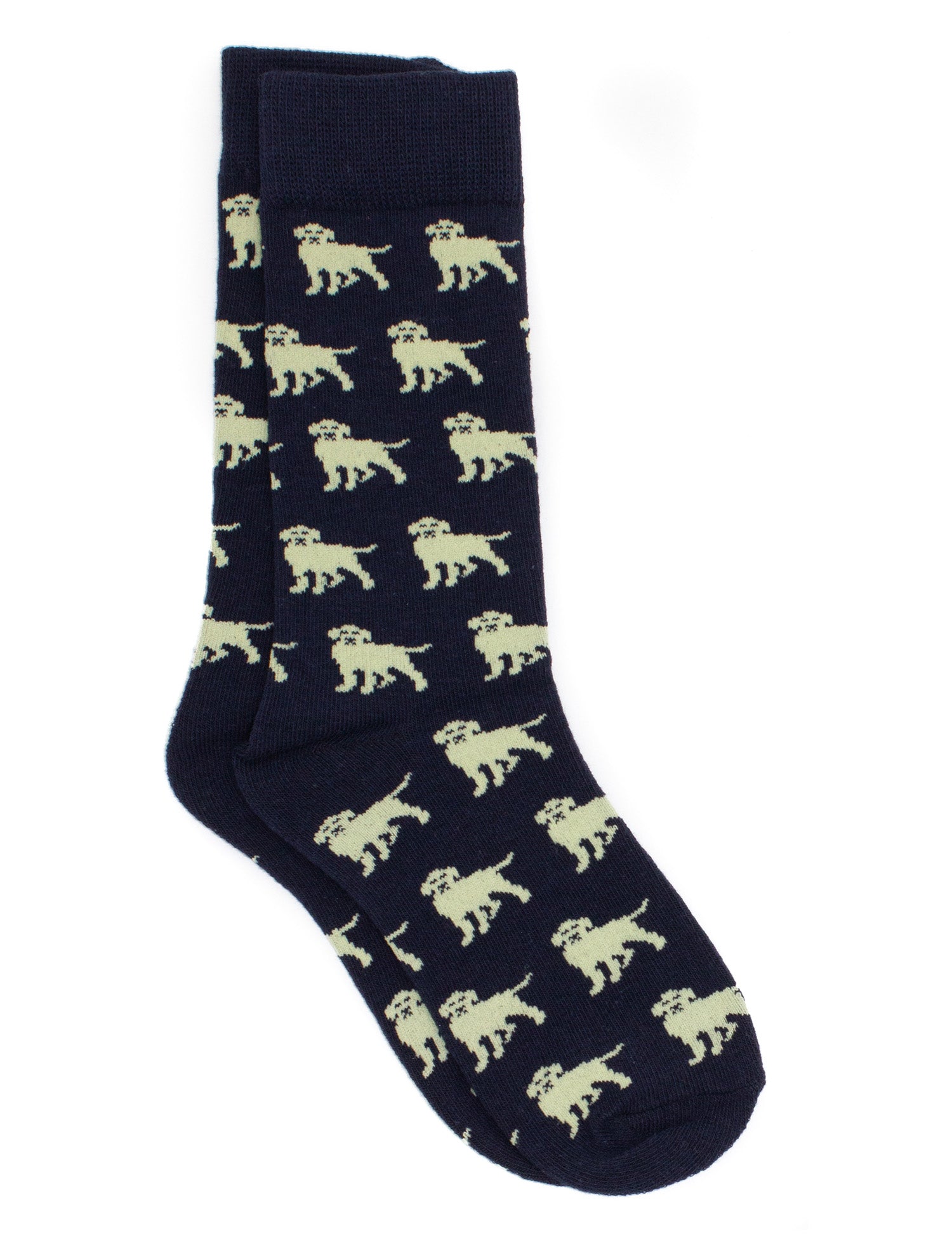 Boys Lucky Duck Socks Golden Retriever